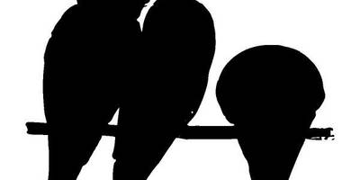 Животные 3895