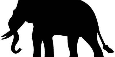 Животные 2927