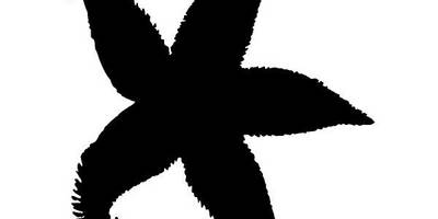 Животные 3847