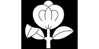 Японский узор 2625