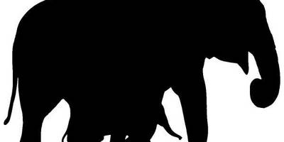 Животные 777