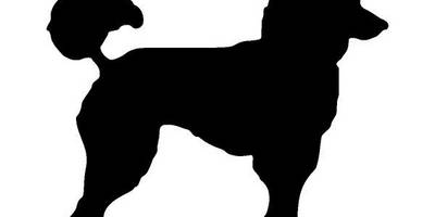 Животные 3125