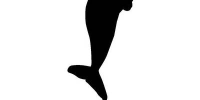 Животные 1182