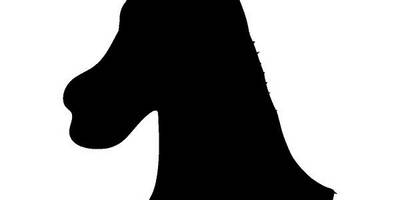 Животные 1321