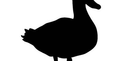 Животные 3593