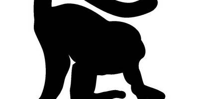 Животные 2428