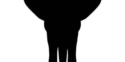 Животные 3671