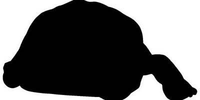 Животные 3232