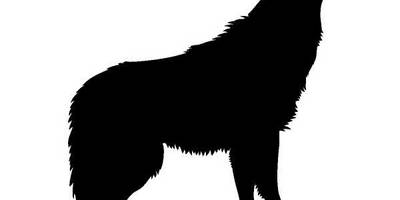 Животные 814