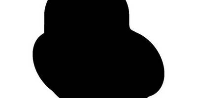 Животные 1241