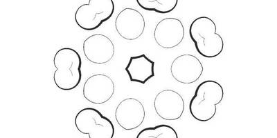 Орнамент цветы 168