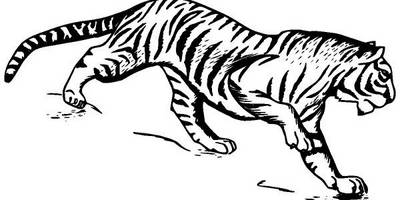 Животные 1135