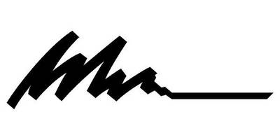 Виниловая наклейка на авто 113