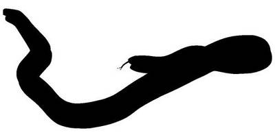 Животные 4299