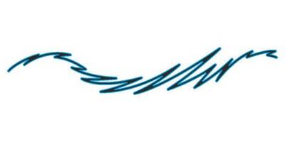 Виниловая наклейка на авто 303