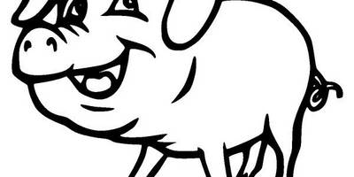 Животные 462