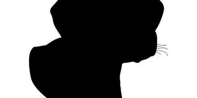 Животные 725