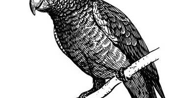 Животные 589