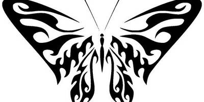 Животные 2570