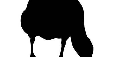 Животные 4317