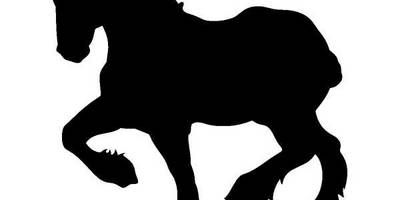 Животные 385