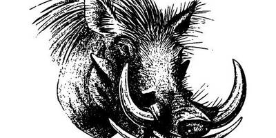 Животные 2559