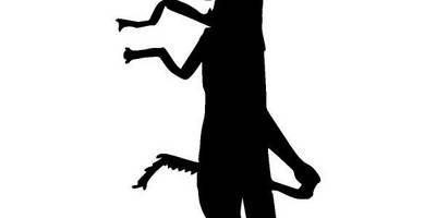 Животные 2456