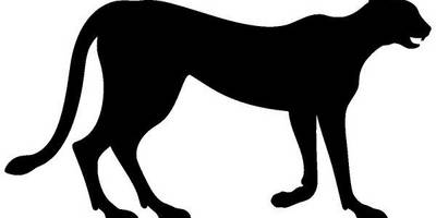 Животные 340