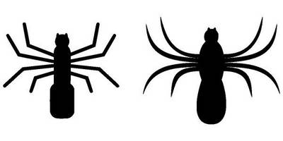 Животные 782