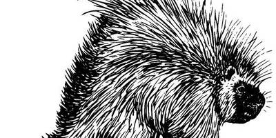 Животные 235