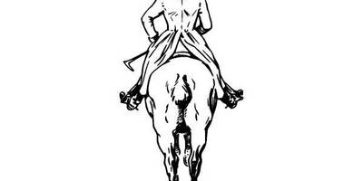 Животные 1041