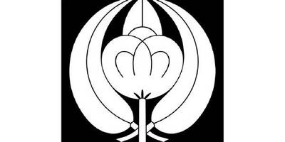 Японский узор 2620