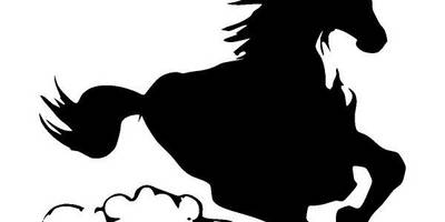 Животные 563