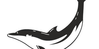 Татуировка 784