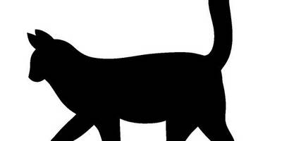 Животные Кошка 757