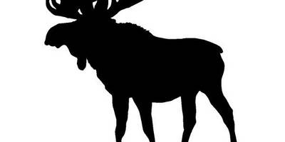 Животные 2829