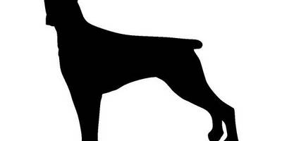 Животные 1792