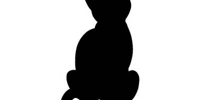 Животные 363