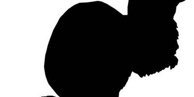 Животные 360