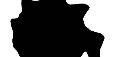 Животные 3080