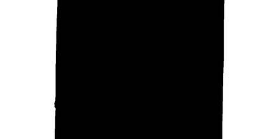 Животные 3215