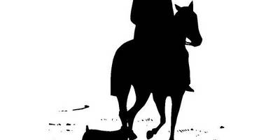 Животные 1609