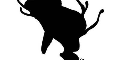 Животные 3155