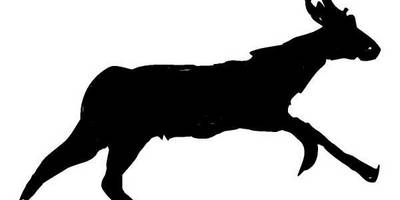 Животные 217