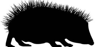 Животные 2544