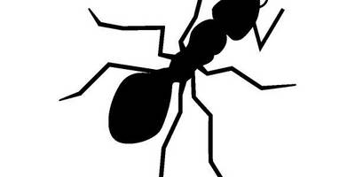 Животные 1646