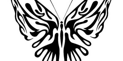 Животные 2569