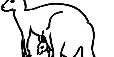 Животные 894