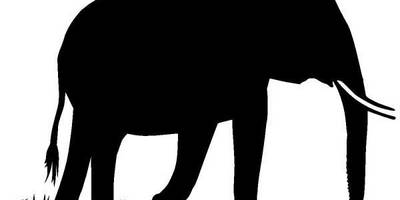 Животные 389