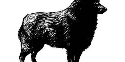 Животные 1102